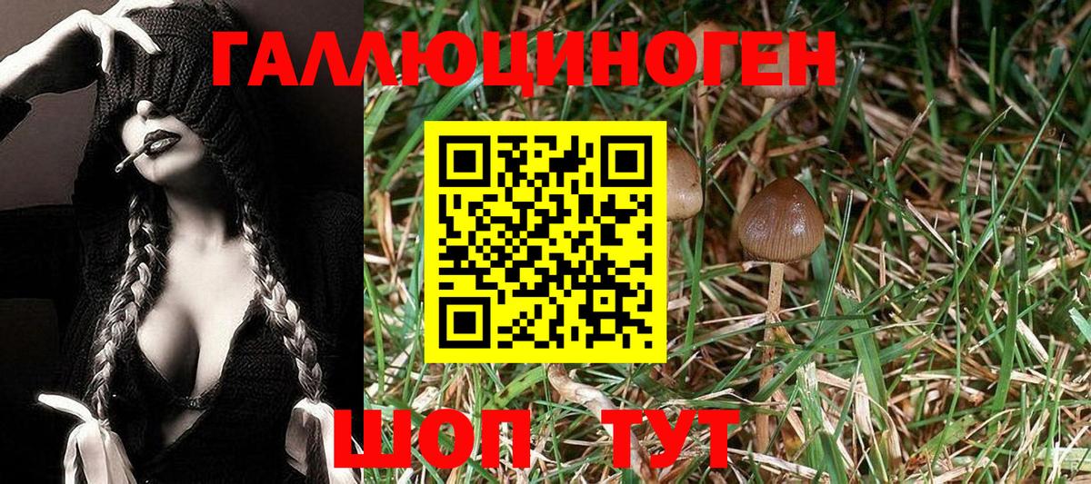 Псилоцибиновые грибы Cubensis Лабытнанги